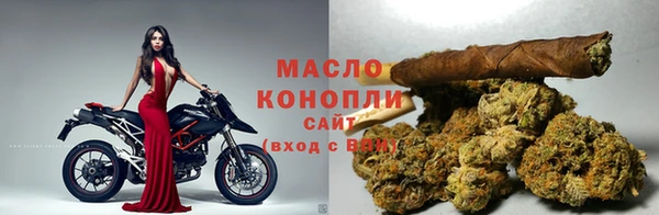 тгк Вяземский