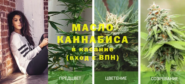 тгк Вяземский